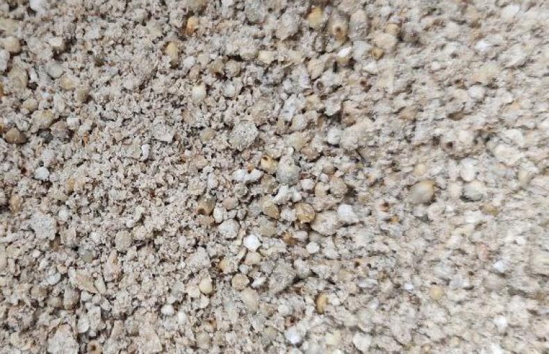 Cereal vs Moth Bajra Khichdi - The Ultimate Healthy Breakfast Battle